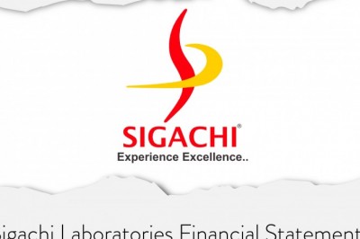 Sigachi Laboratories Balance Sheet