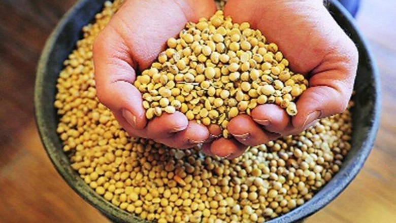Soybean meal Market Revenue, Size, Share, Growth, Trends | Industry Forecast 2030