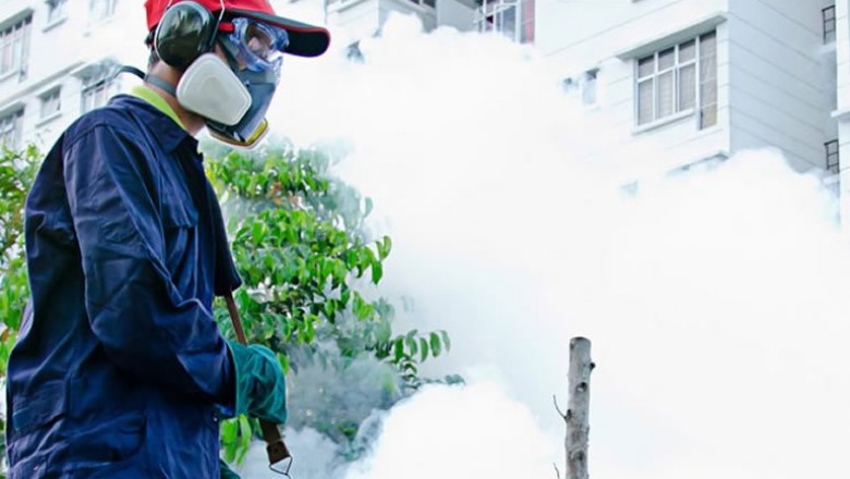 Pest Control in Parramatta Australia