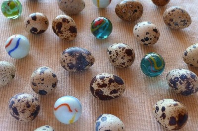 Quail Eggs Eating Ultimate Health Benefits
