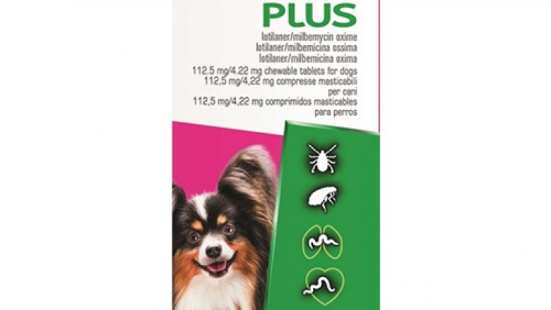 Shop Credelio Plus for Small Dogs - Credelio Plus for Dog Supplies