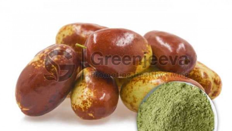 Zizyphus Spinosa Jujuboside Powder