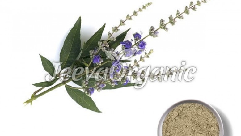 Chaste Tree Powder