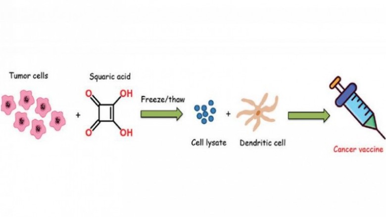 Dendritic Cell and Tumor Cell Cancer Vaccines Market Opportunity Analysis-2027