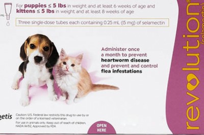 Never Miss the Monthly Flea Dose for your Dog!!
