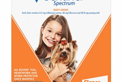 Buy Sentinel Online At Lowest Price With Free Shipping - DiscountPetCare