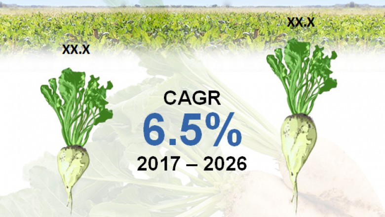 Global Sugar Beet Market is estimated to surpass US$50.42.1 mn by 2026