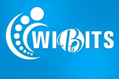 Wibits Web Solutions LLP
