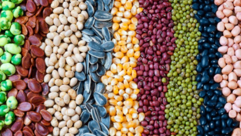 Agricultural Colorants; Used to Colour Herbicides, Fungicides, and Pesticides for Easy Identification
