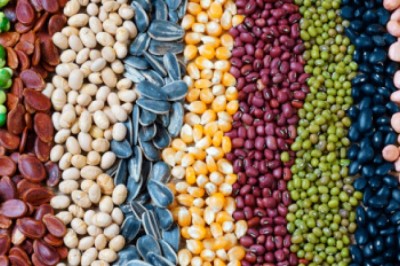 Agricultural Colorants; Used to Colour Herbicides, Fungicides, and Pesticides for Easy Identification