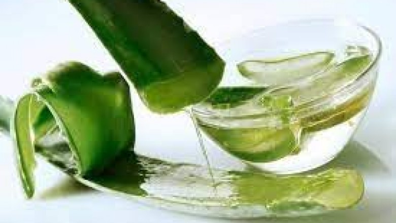 Aloe Vera Extracts Market Headed for Growth and Global Expansion by 2030