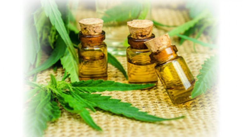 Hemp CBD financial model