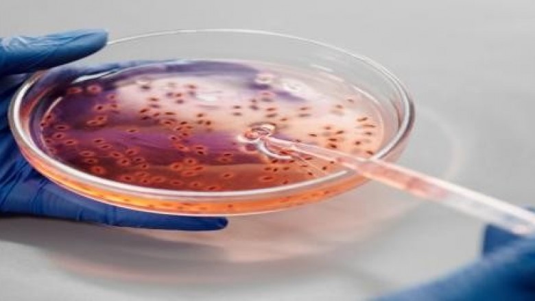 Molecular Quality Control Market Size, Trends, Shares, Forecast – 2018-2026