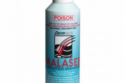 Buy Malaseb Medicated Foam Shampoo For Dogs & Cats Online - DiscountPetCare