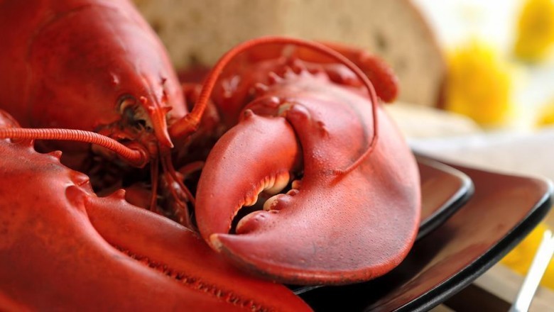 Chitin has become an essential sugar derivative with wide applications in medicines, carcinoma treatment, and nutritional supplements