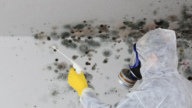 Mold Inspection And Analysis Services San Francisco