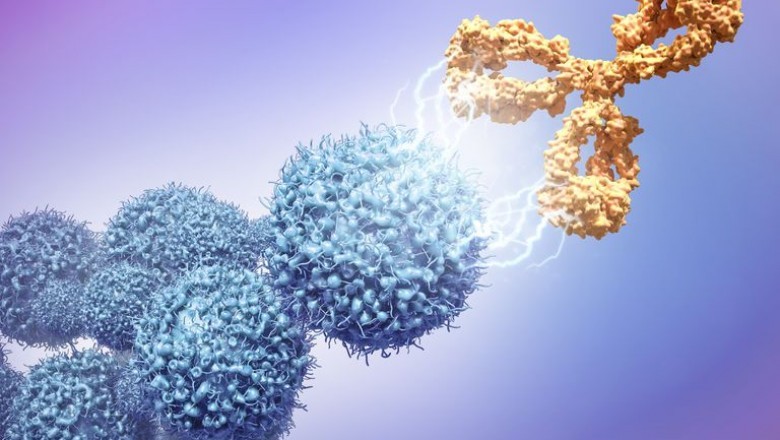 Monoclonal Antibody Therapeutics Market Growth Driven by High Prevalence of Cancer
