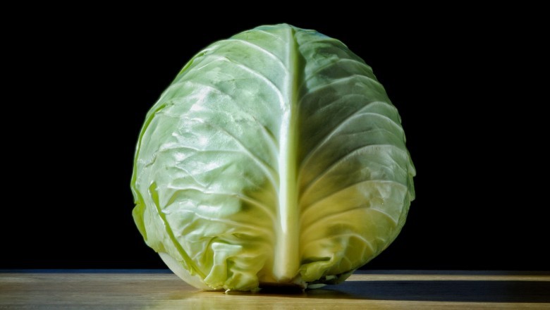 Fresh Cabbage | Veggies Basket