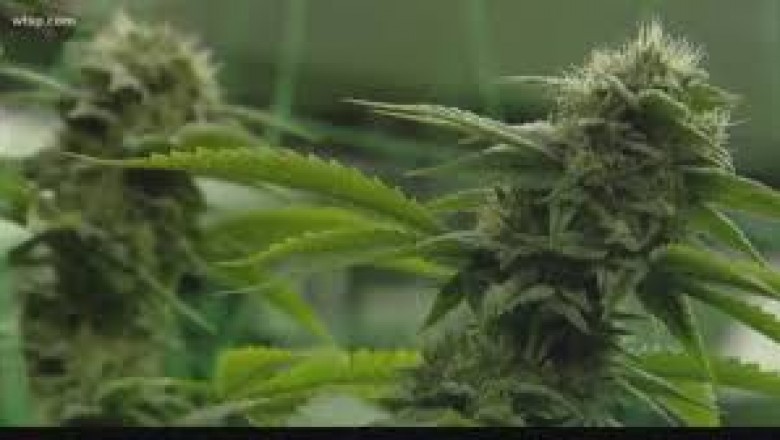 Ohio Home Grow
