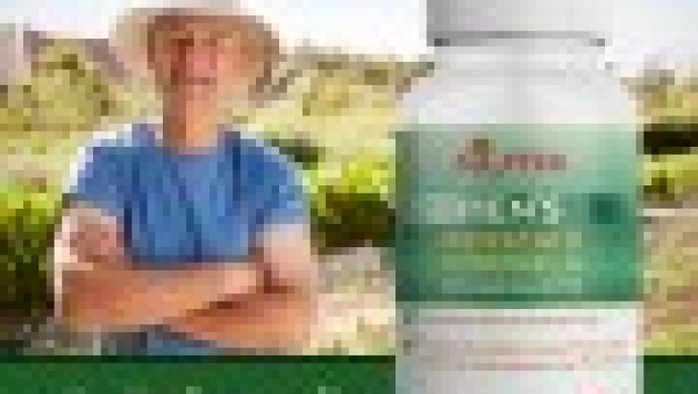 Prostate Supplement