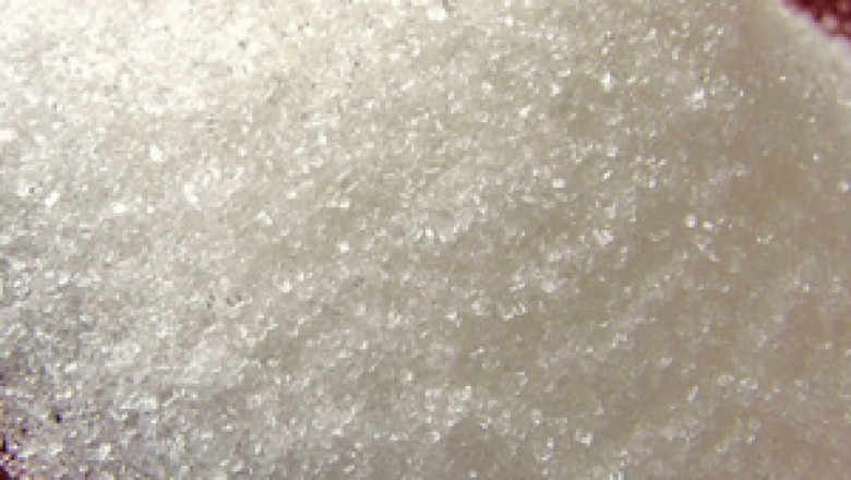 White sugar prices