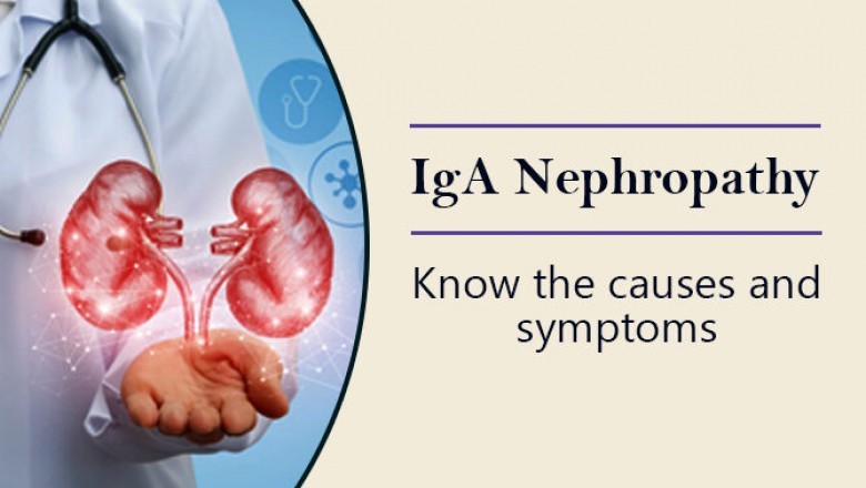 iga nephropathy cure