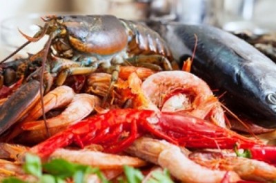Opt-In Best Fishing Industry Mailing Database| Fishing Industry Email List