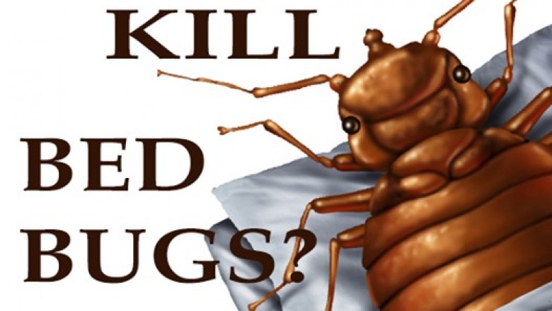 Pest Control Services in Goregaon – Sadguru Pest Control