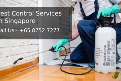 What Are Some Pest Control Methods? And Why Do We Need Pest Control?