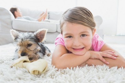 How To Know If You Need Rug Cleaning And How To Do It Yourself?