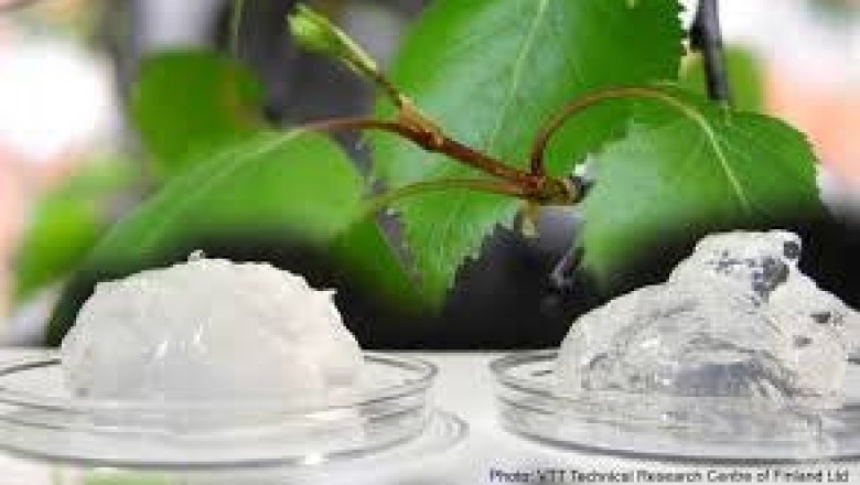 Nanocellulose Market 2021 Secret Factors Behind the Growth in New Research On Top Players-Daicel Finechem Ltd,Borregaard