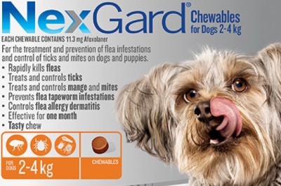 Buy Nexgard For Dogs Orange Pack | Flea & Tick Control | Online at Lowest Price