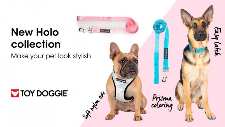 Get Best and Most Required Dog Supplies at Toy Doggie Brand