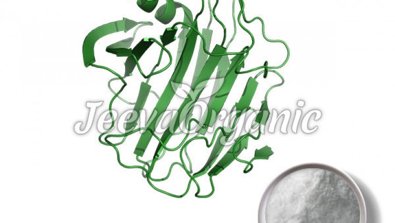 Cellulase Powder Supplier Aspergillus |