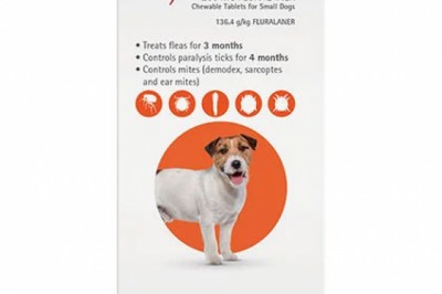 Buy Bravecto For Small Dogs Orange Pack | Flea & Tick Control | DiscountPetCare