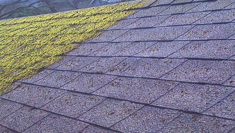 Choosing Quality Roofers For Your Home And Apartment in NYC