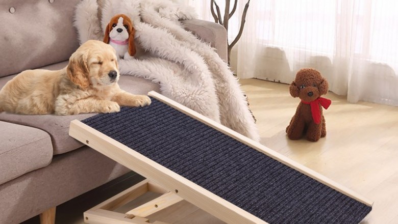 The Best Dog Ramps for Pets
