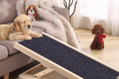 The Best Dog Ramps for Pets