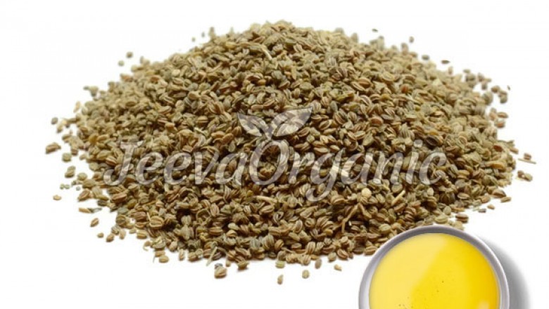 Affordable Cellery Seed Oil Supplier |