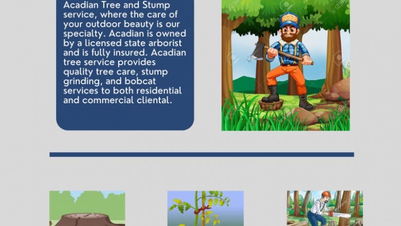 Madisonville Tree Removal | Acadian Tree and Stump Removal Service