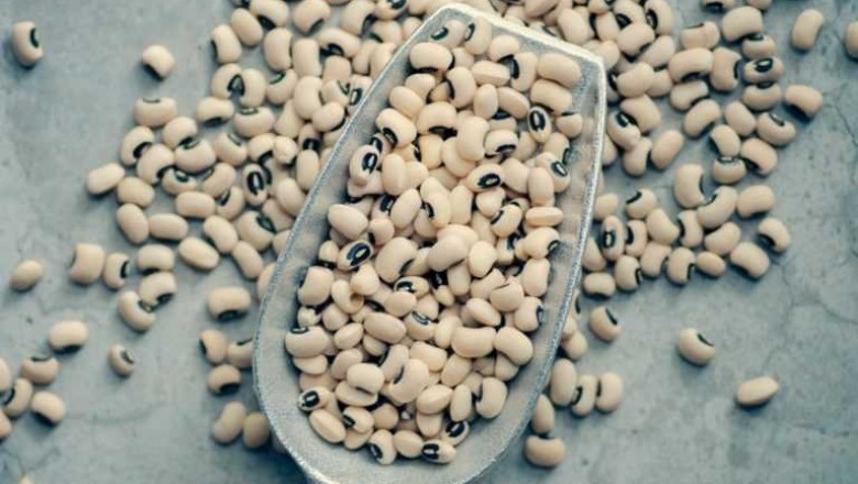 Real African Experience |ileoja