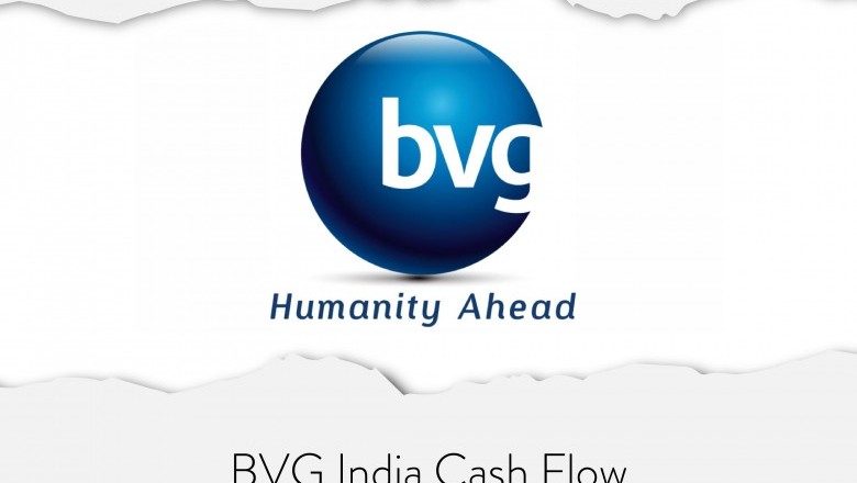 BVG India Cash Flow statements