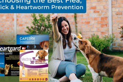 Choosing the Best Flea Tick Heartworm Prevention