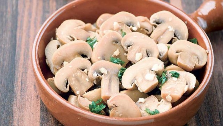 Canned Mushrooms Are the Canned Version of Fresh Mushrooms and Can Be Used In Various Dishes Including Soups and Broths and They Also Taste Very Nice