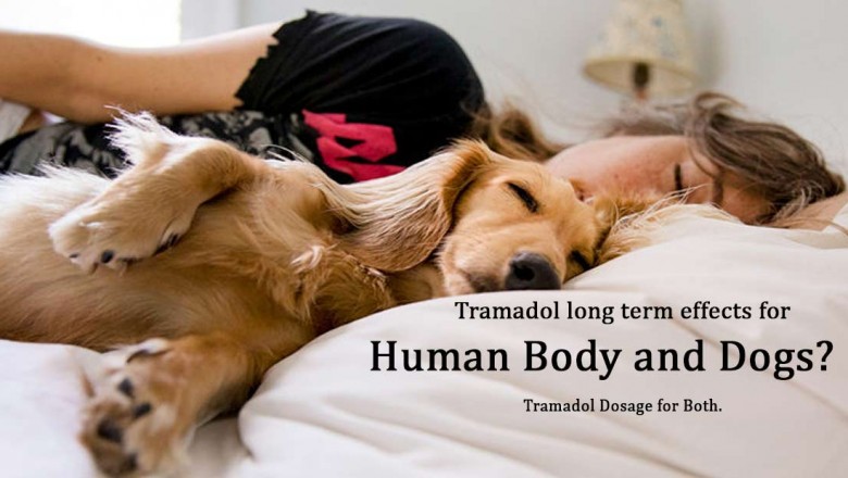Tramadol long term effects for Human body and Dogs? Tramadol Dosage for Both