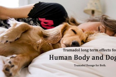 Tramadol long term effects for Human body and Dogs? Tramadol Dosage for Both