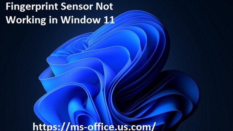 How to Get Rid Fingerprint Sensor Not Working in Window 11? - www.office.com/setup