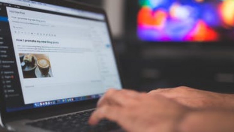 How WordPress Developers Build a Professional Website?