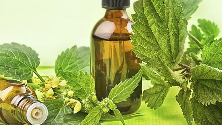Herbal Beauty Products, Considered To Be Safer Than Those with Chemical Ingredients