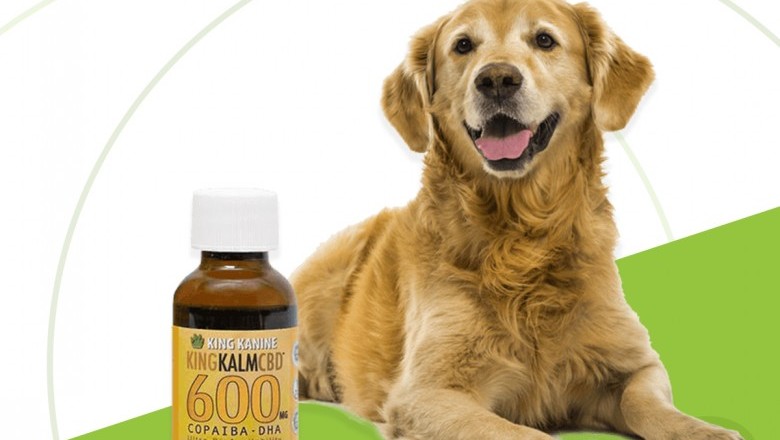 King Kalm 600 Mg CBD for Dogs | King Kanine